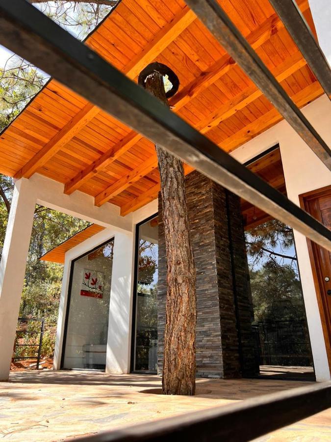 Cabaña Alexa, en el corazón del bosque de Mazamitla Exterior foto